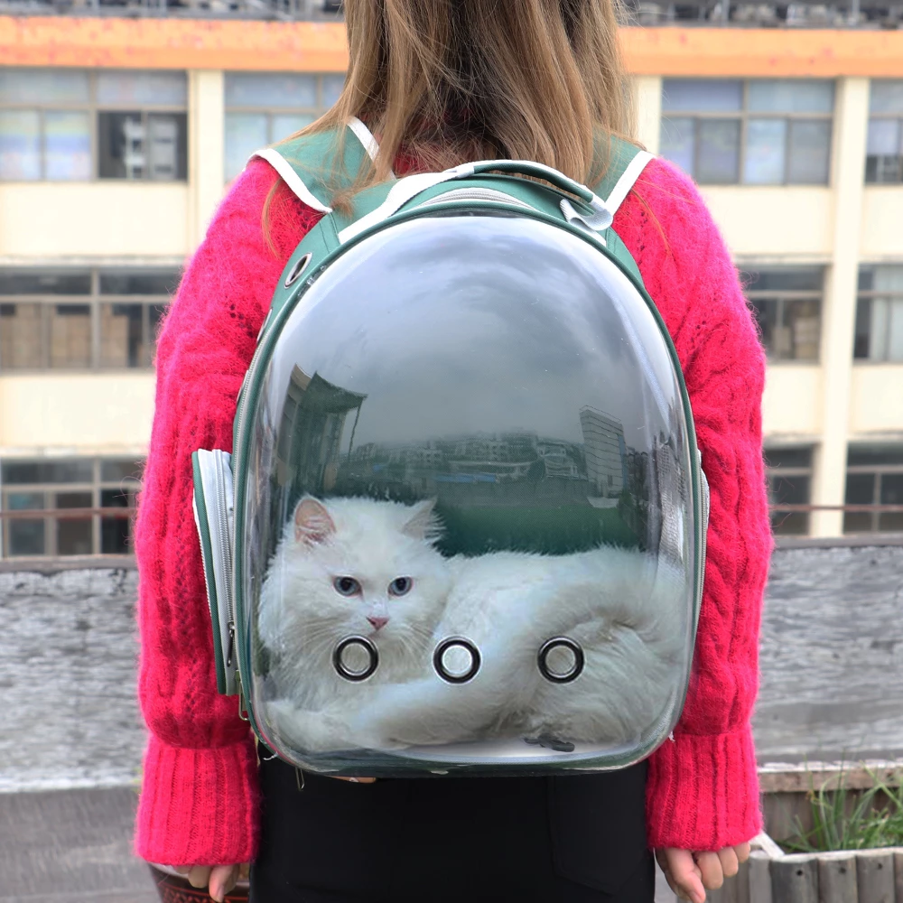 cute clear cat backpack carrier
