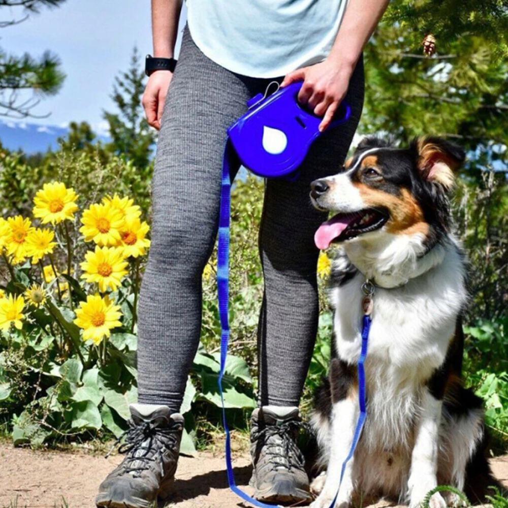 4-in-1 dog retractable leash belt