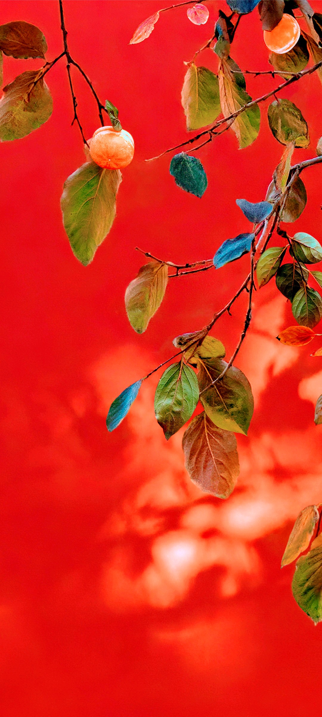 test product new app abc