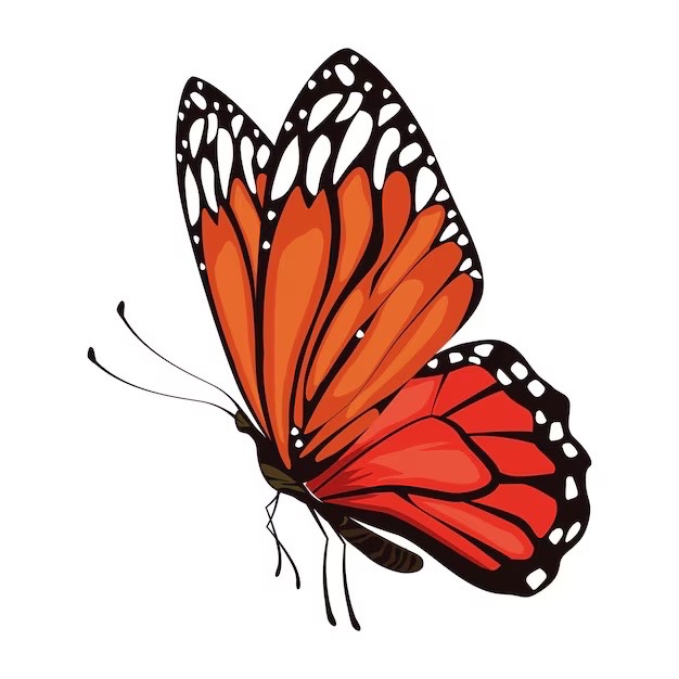 Test New Vimeo Videotext 0