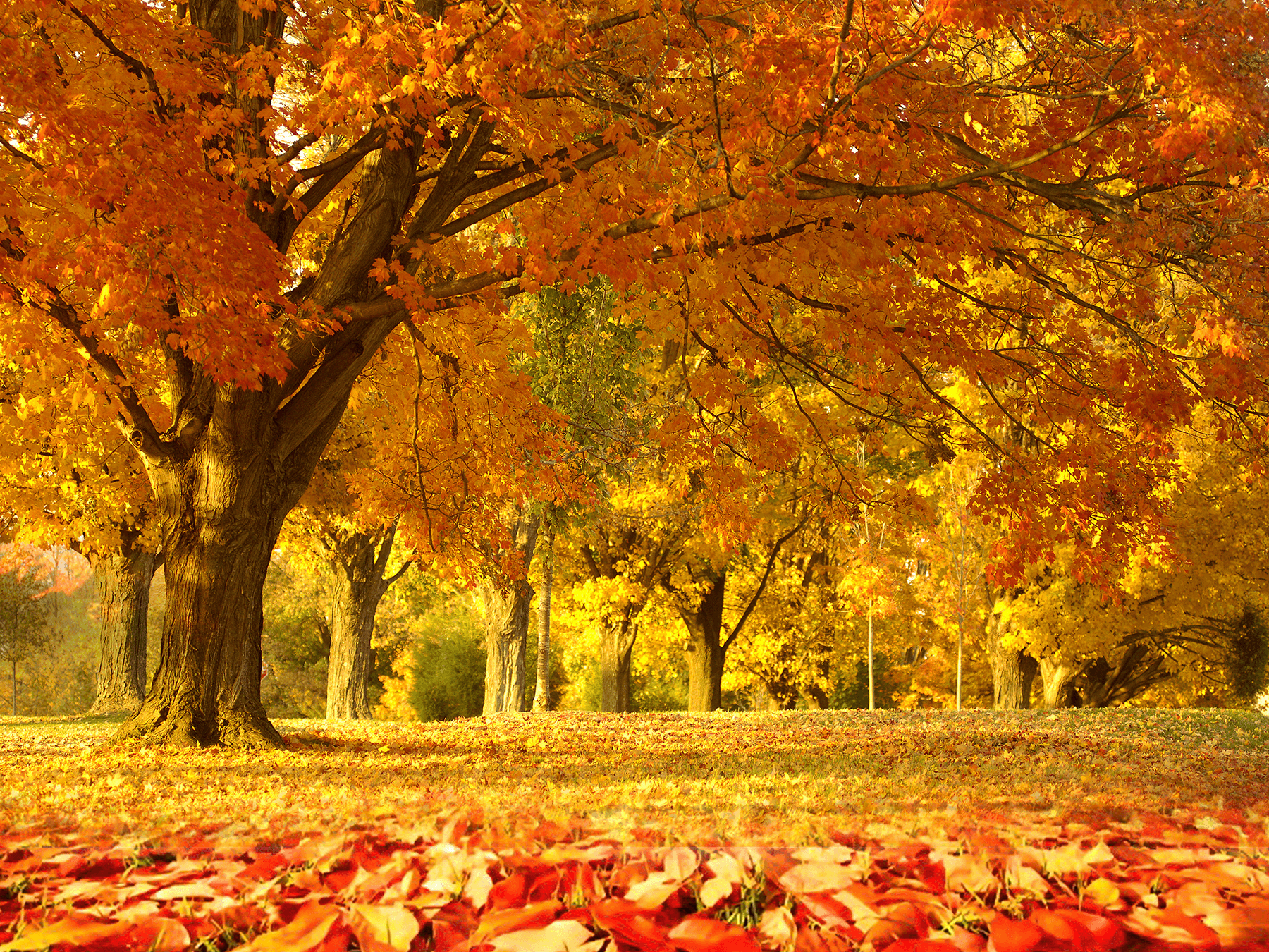 Test Config Product For Promotion Mnbc Cccc 7