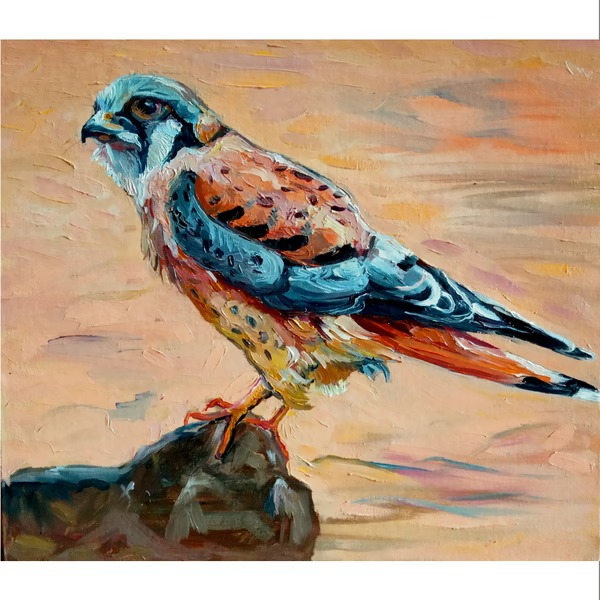 oil painting "falcon falcon's keen eye" small oil painting impasto