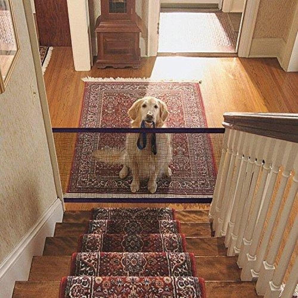 dog safety gate
