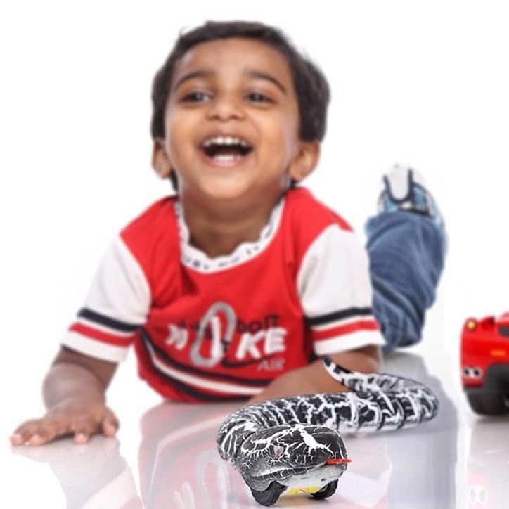 remote control snake