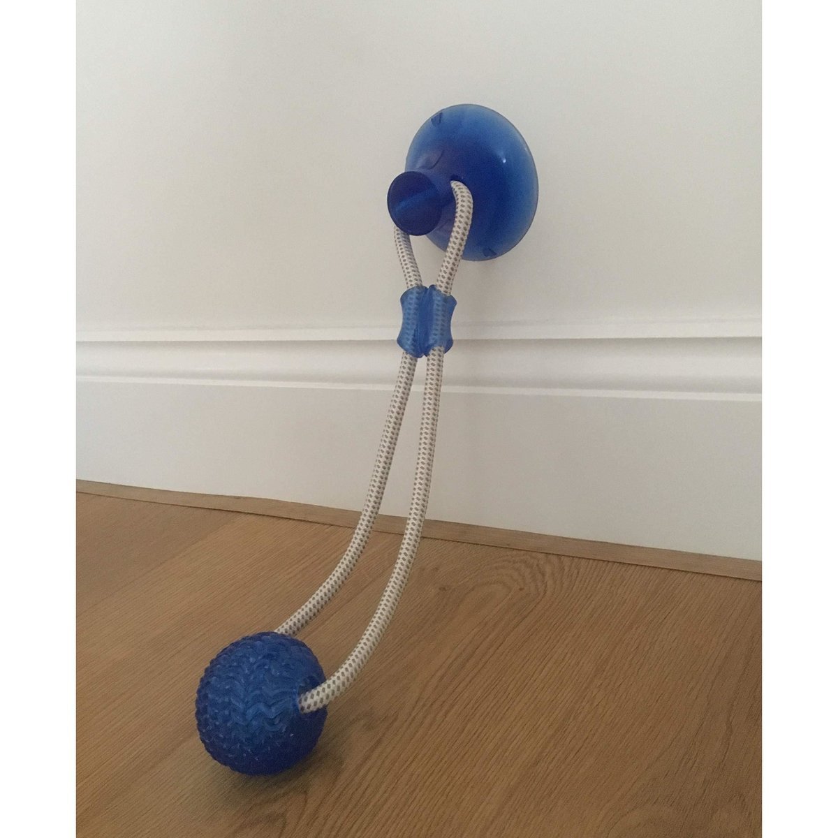 dog suction cup toy